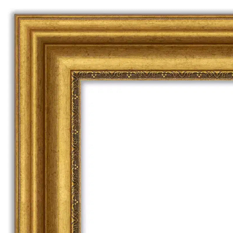 Full Length Wall & Door Mirror - Gold Ornate Frame, 20" x 54"
