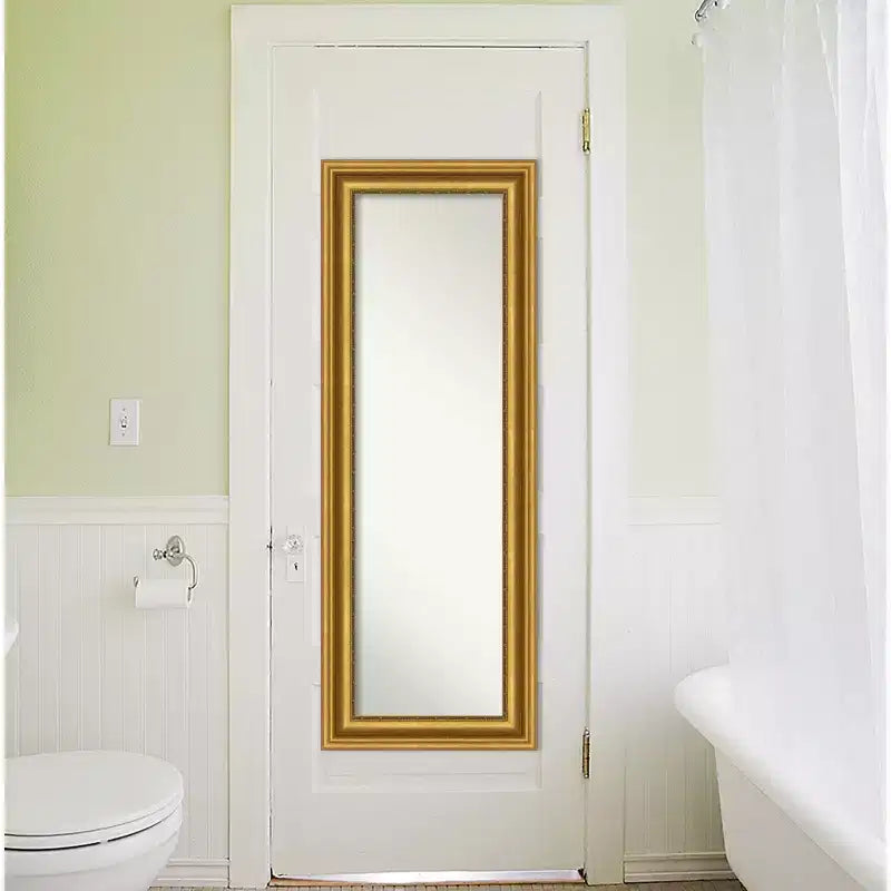 Full Length Wall & Door Mirror - Gold Ornate Frame, 20" x 54"