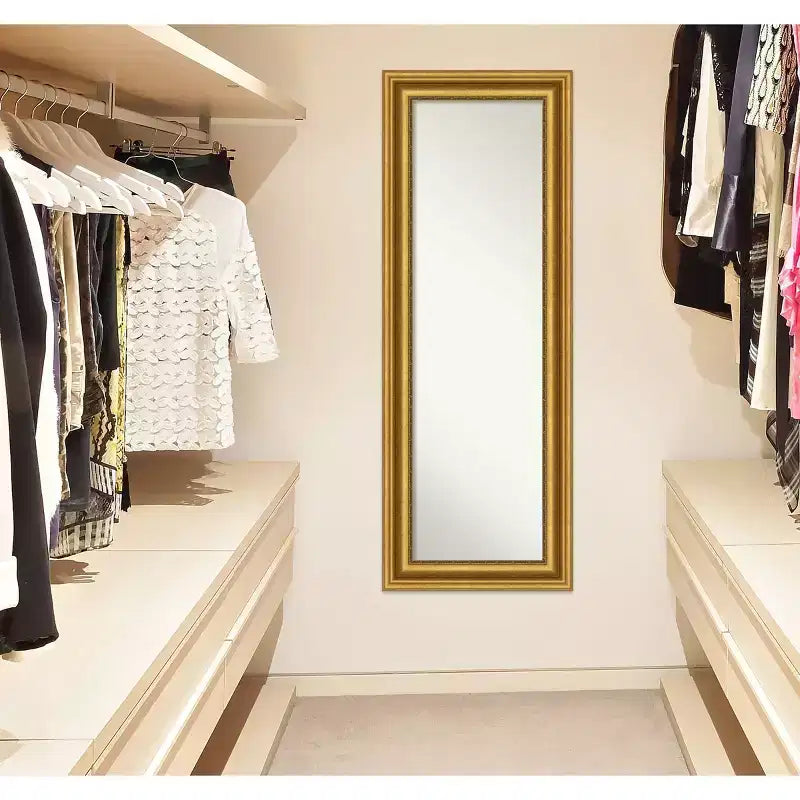 Full Length Wall & Door Mirror - Gold Ornate Frame, 20" x 54"