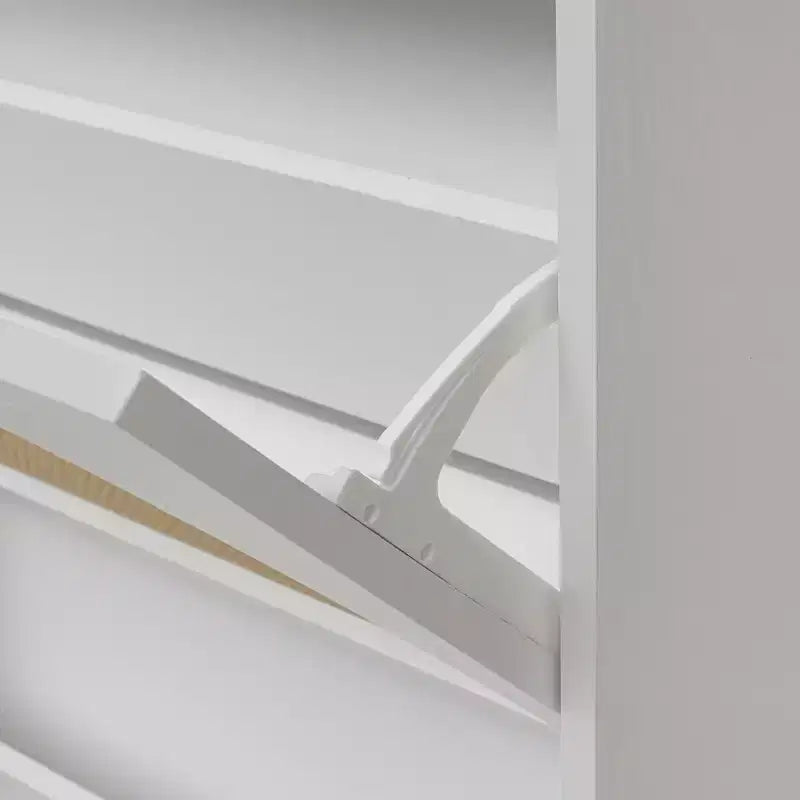 Modern Shoe Rack with 2 Rattan Doors and Metal Base