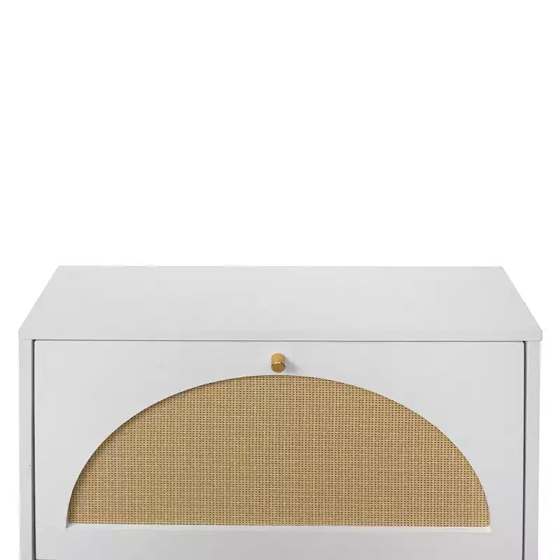 Modern Shoe Rack with 2 Rattan Doors and Metal Base